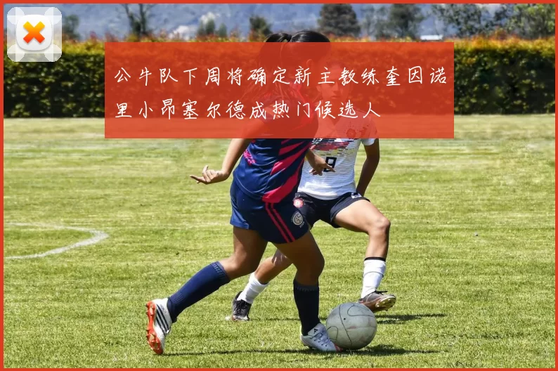 公牛队下周将确定新主教练奎因诺里小昂塞尔德成热门候选人